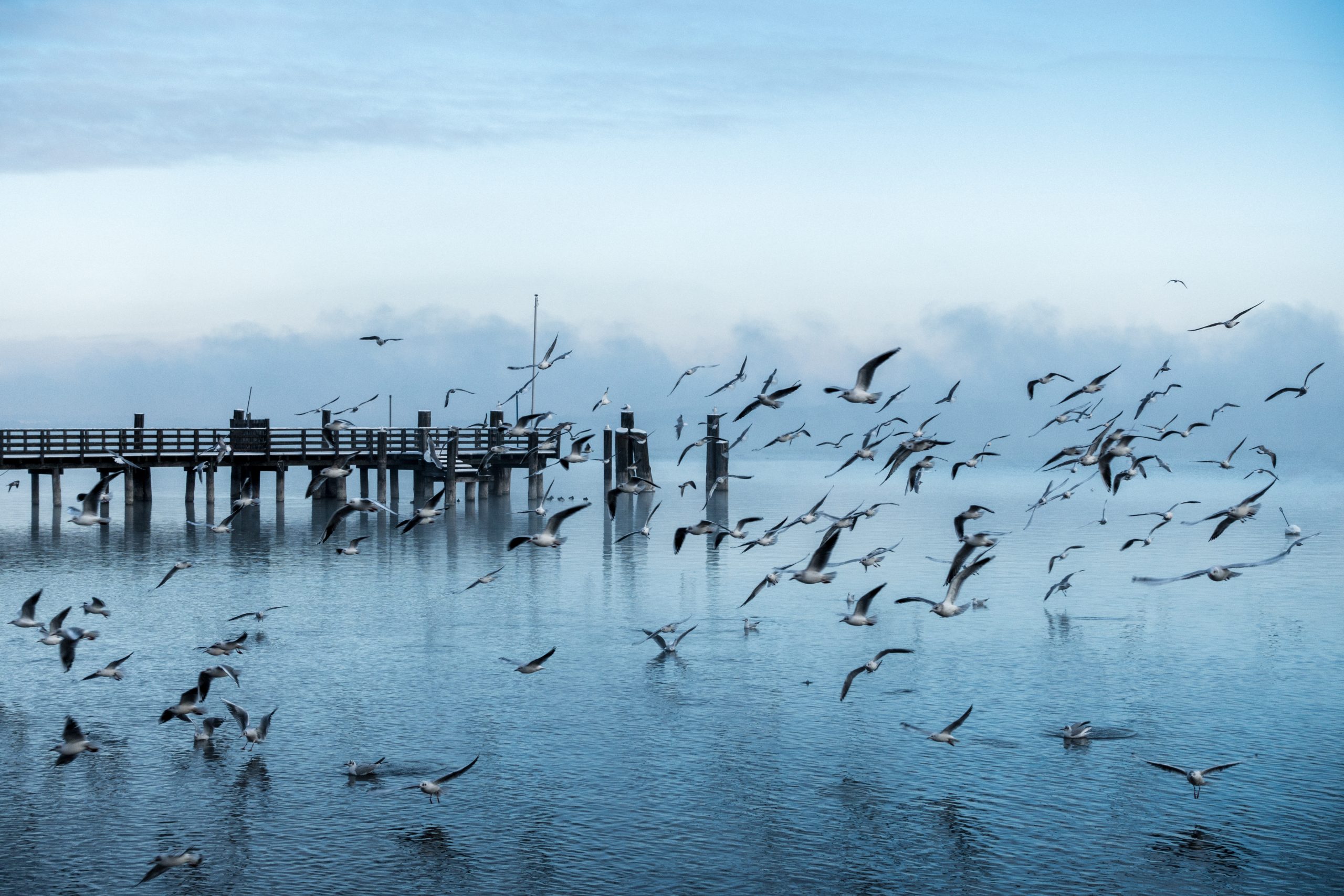 Best Bird Migration Spots on the East Coast This Season