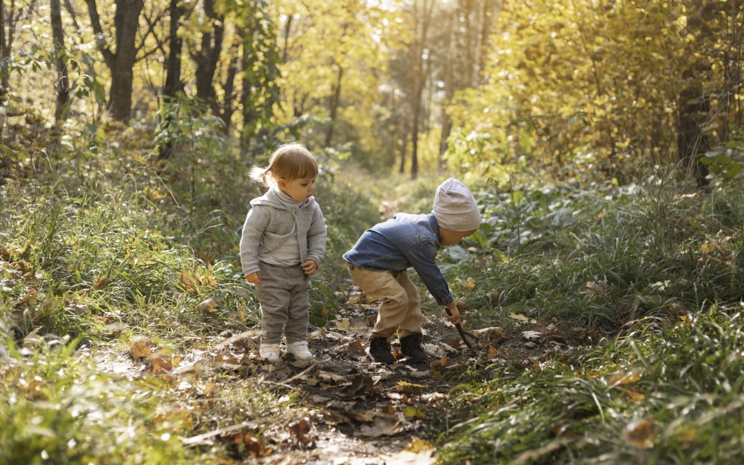 Family Hikes and Nature Walks Kids Will Love Nearby