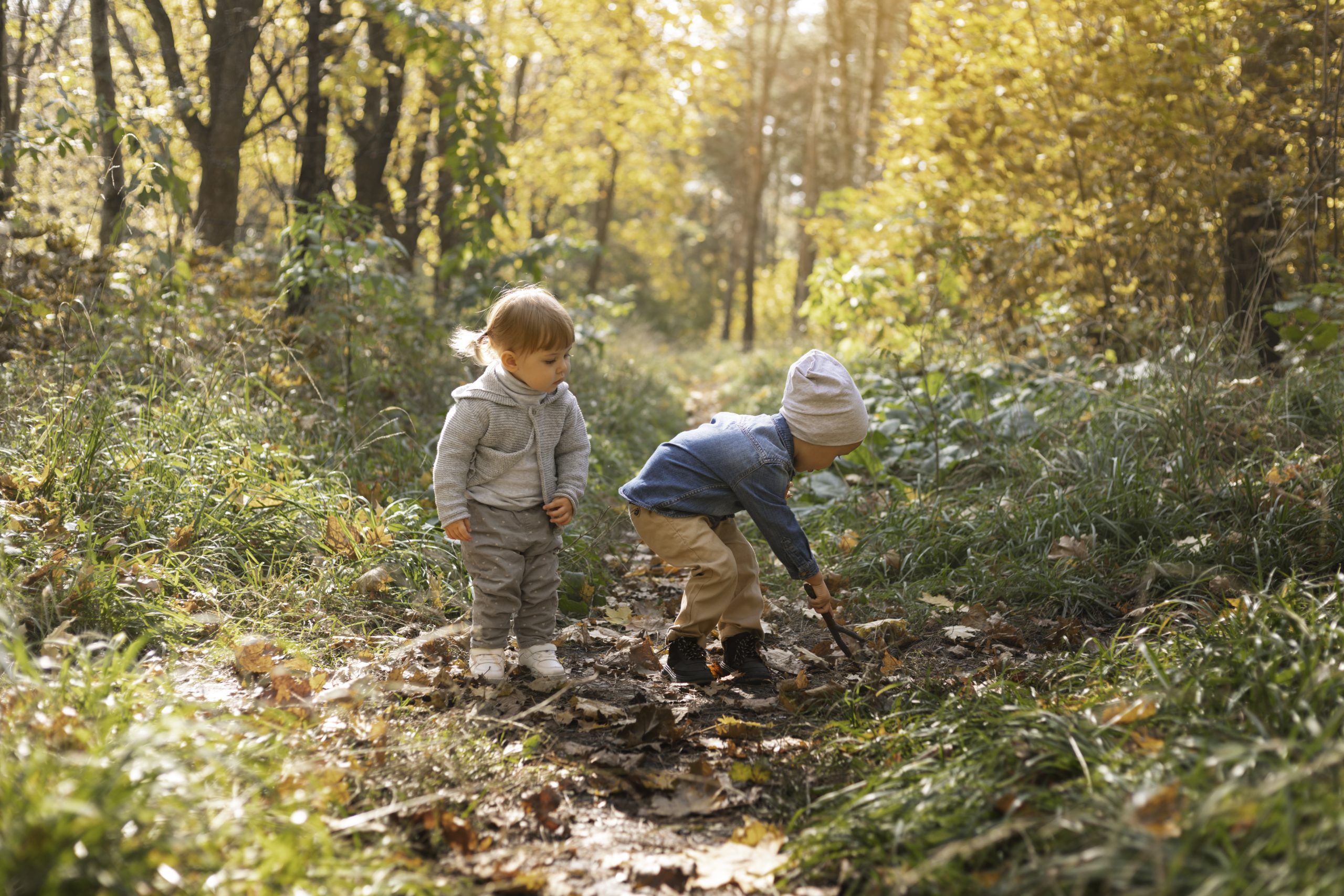 Family Hikes and Nature Walks Kids Will Love Nearby