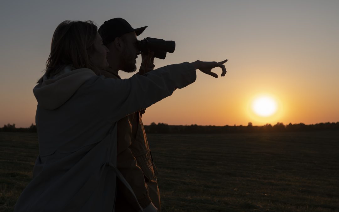 This Preserve Is a Haven for Birds and Birdwatchers
