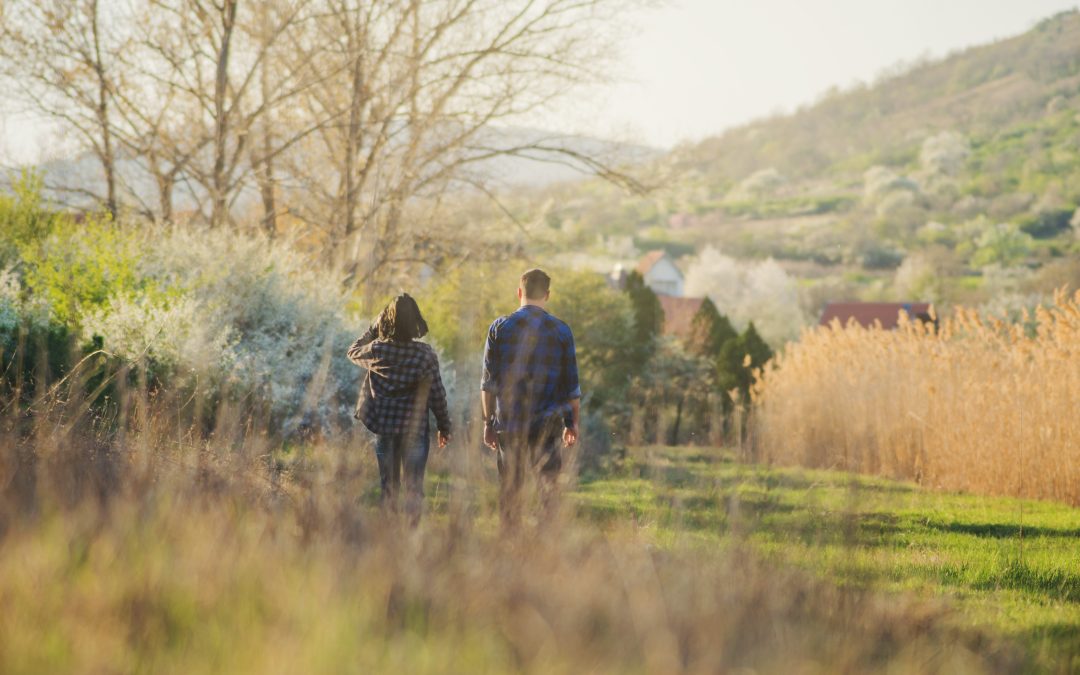 Restoring Native Habitats With Trails You Can Walk