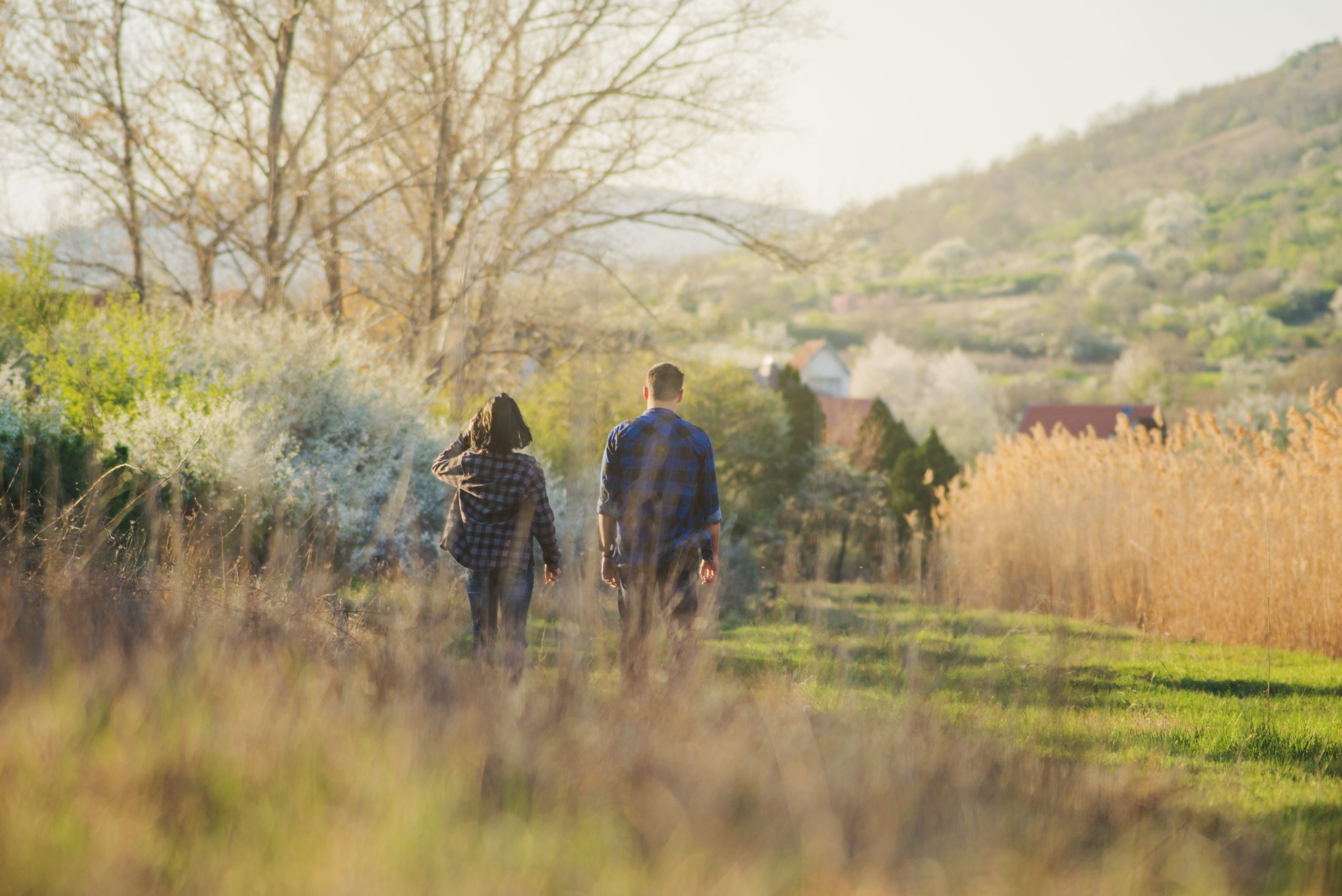 Restoring Native Habitats With Trails You Can Walk