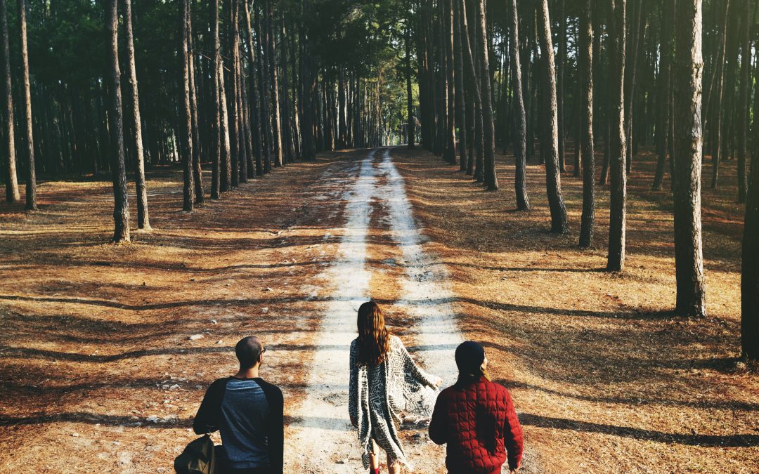 Forest Therapy Walks at Serenity Ridge Nature Preserve