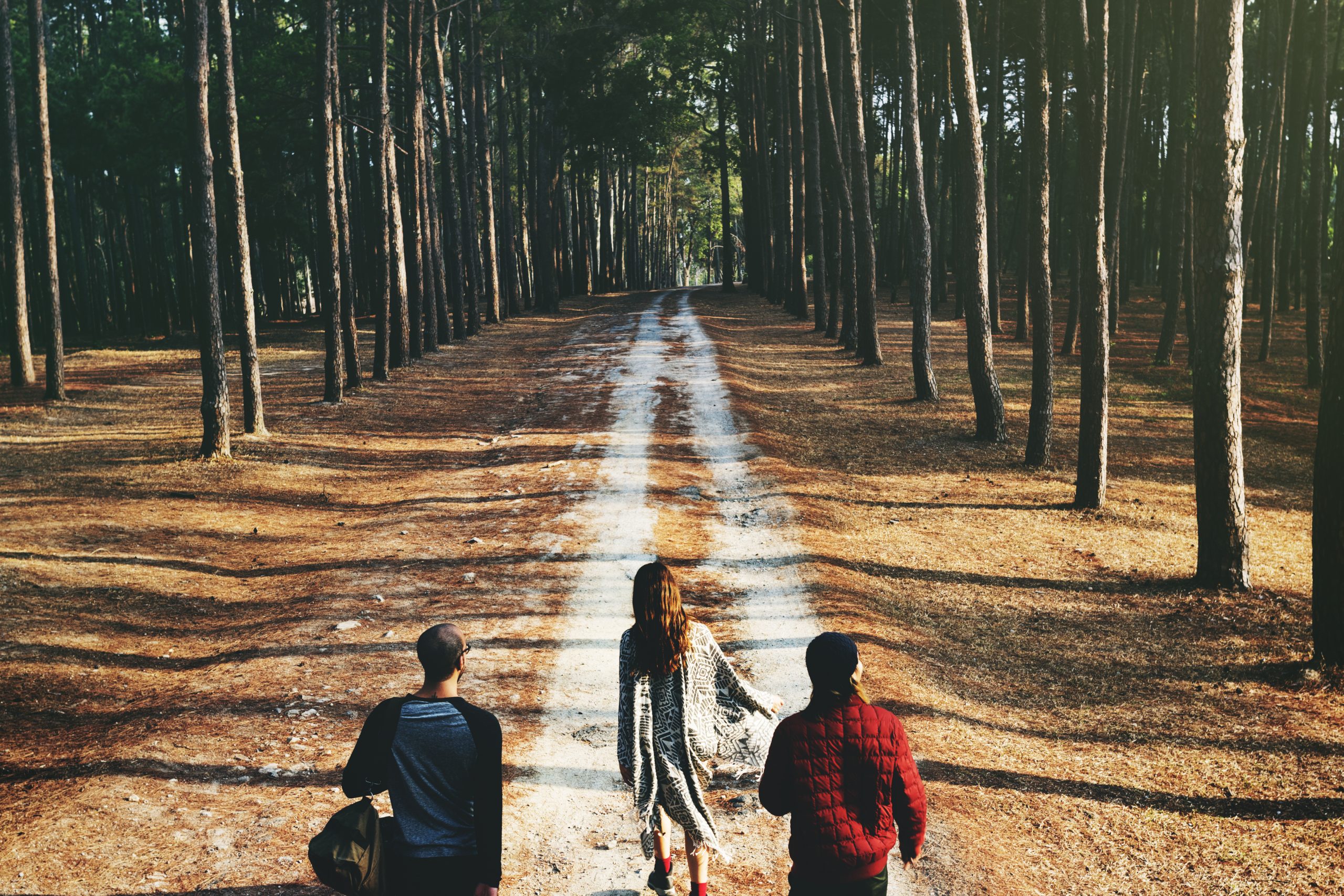 Forest Therapy Walks at Serenity Ridge Nature Preserve