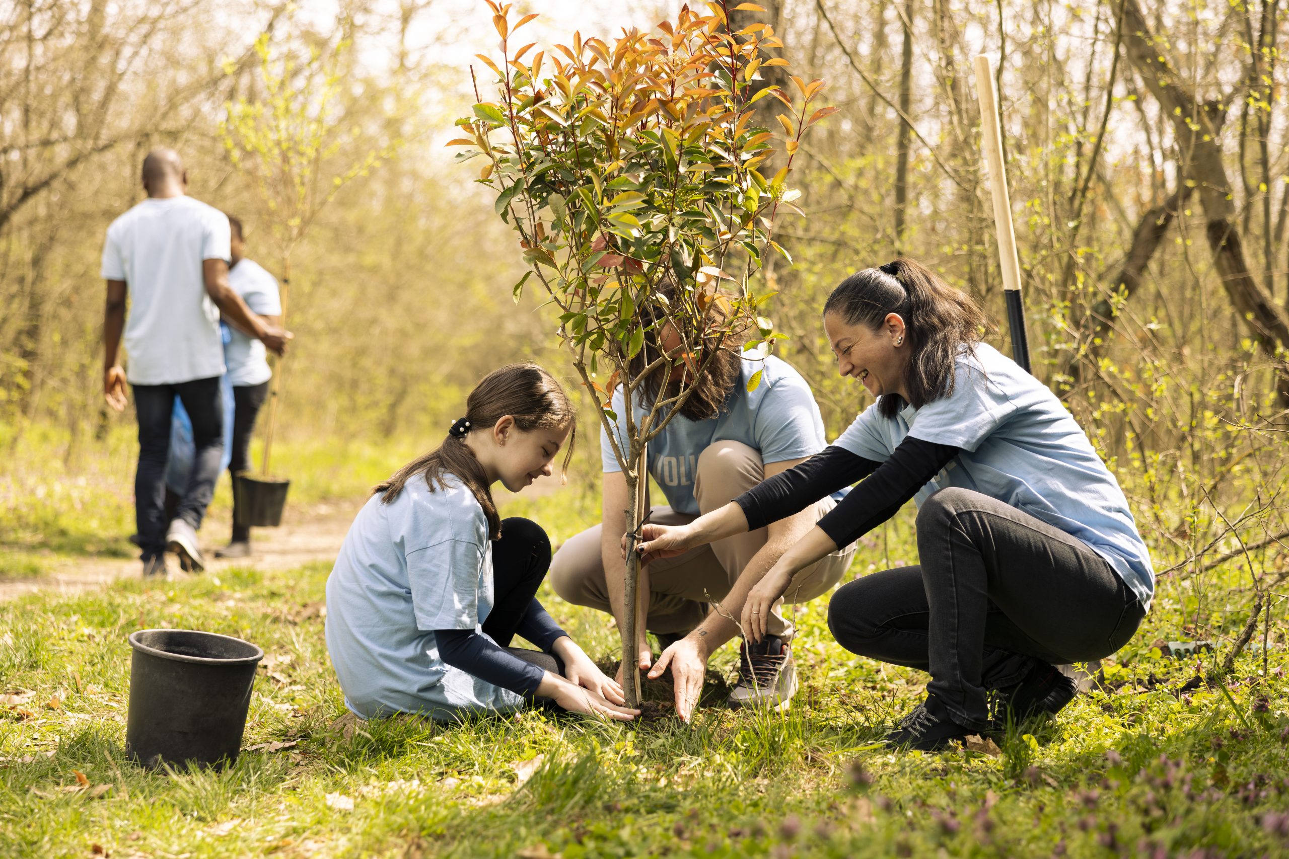 Support Conservation as a Serenity Ridge Volunteer