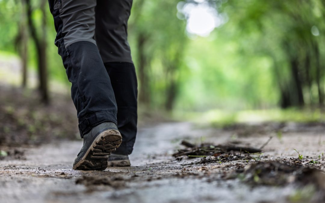 Leave No Trace: 7 Outdoor Ethics for Maryland Hikers