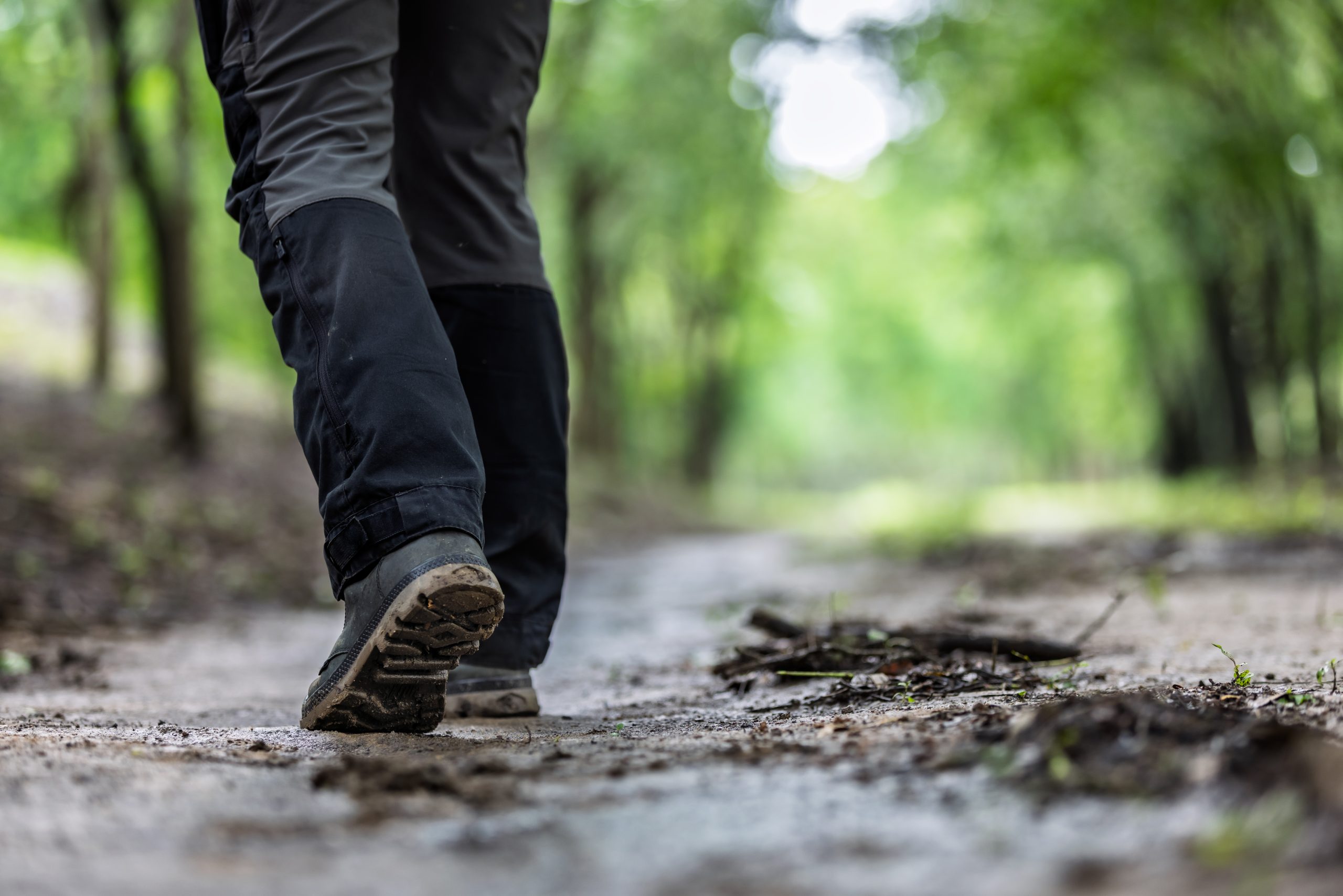 Leave No Trace: 7 Outdoor Ethics for Maryland Hikers