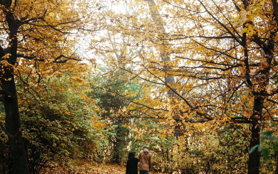 Find Seasonal Balance Through Serenity Ridge’s Nature Walks