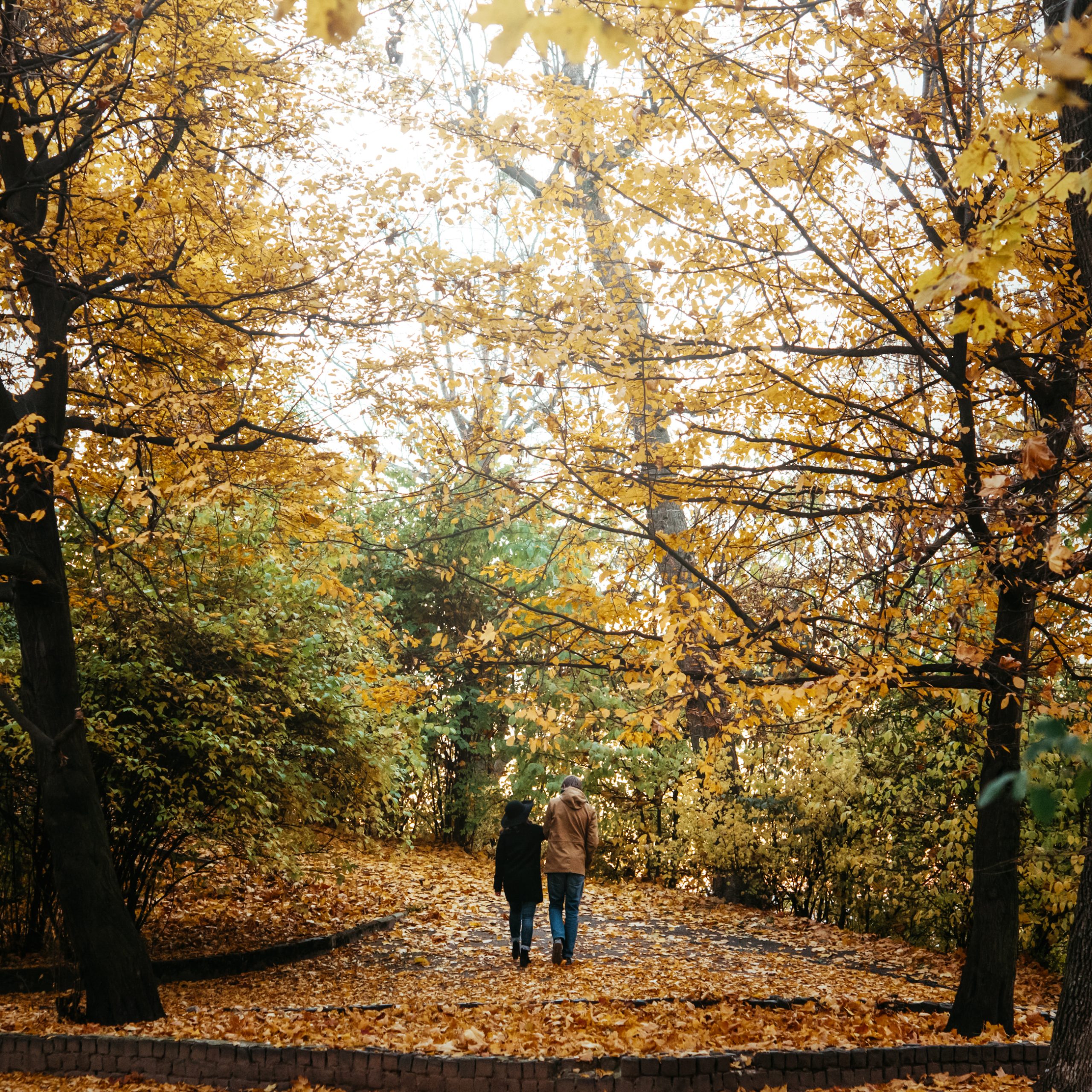Find Seasonal Balance Through Serenity Ridge’s Nature Walks