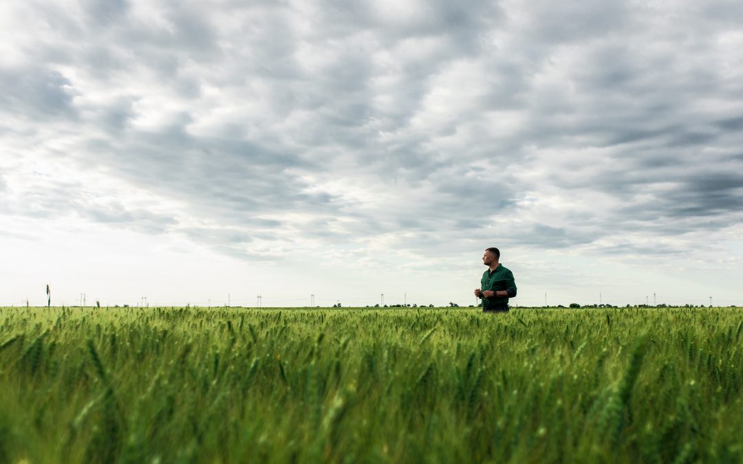 How Preserved Land Offers Healing for Climate Anxiety and Grief