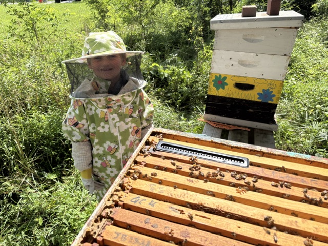 TASTE THE HONEY, a Fun Rosh Hashanah Honey Experience